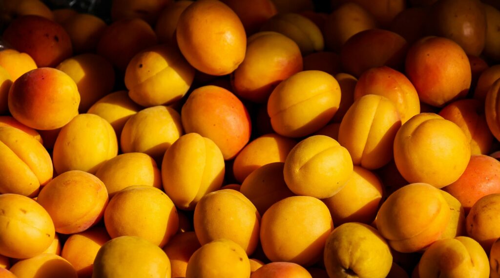 The Sweet Benefits Of Peaches Vibrant sunlit apricots showcasing their natural color and texture.