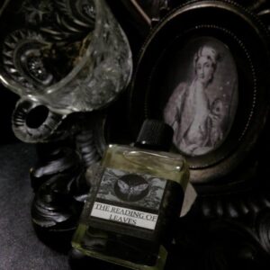 the reading of leaves