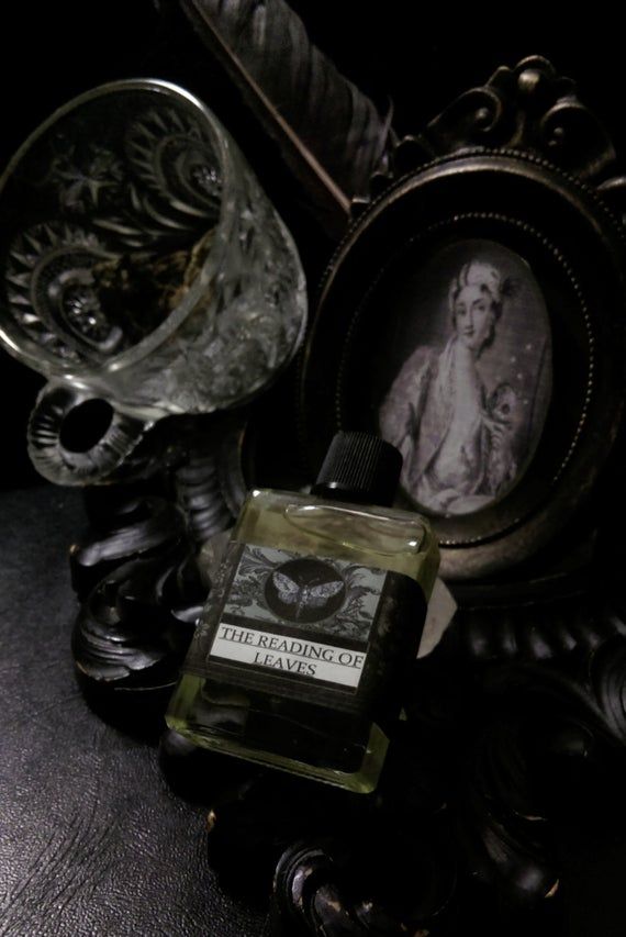 the reading of leaves the reading of leaves