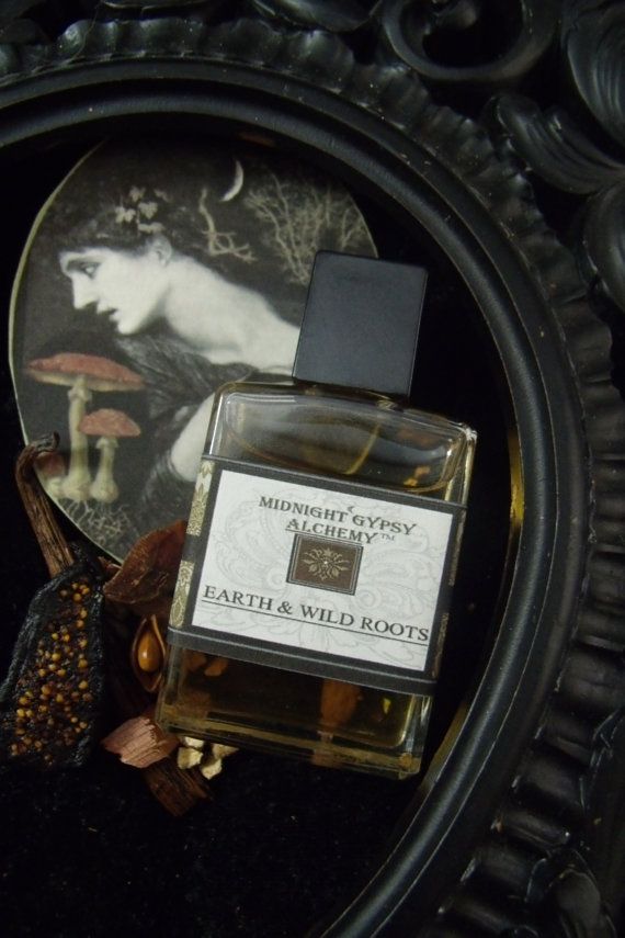 the reading of leaves the reading of leaves