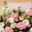 mischa pink carnation bouquet mischa pink carnation bouquet