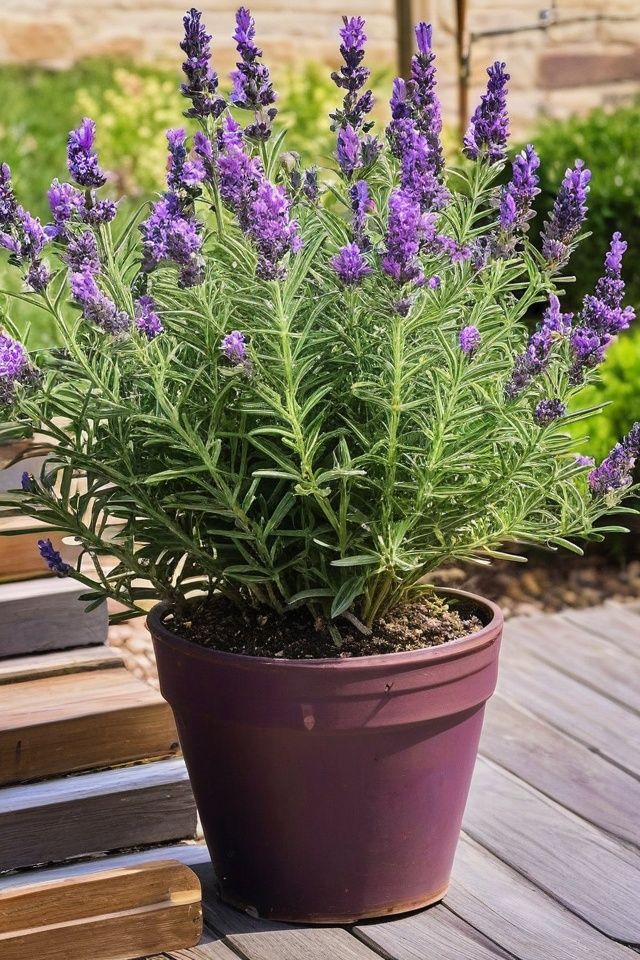 a8e087090728e504f4e7b7e075bc2dcc